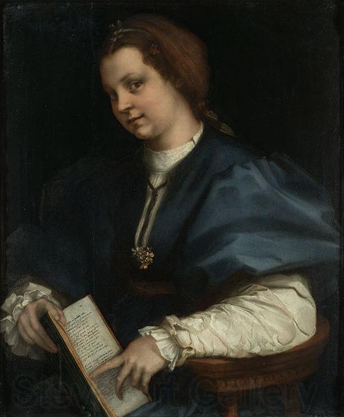 Andrea del Sarto Lady with a book of Petrarch's rhyme Spain oil painting art